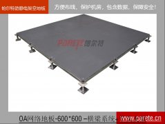 OA600全鋼網(wǎng)絡(luò)地板-帶橫梁-C4